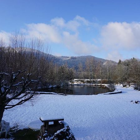 La maison et l'étang - grand terrain privé Vagney Esterno foto