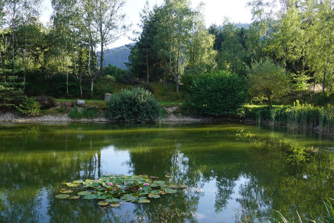 La maison et l'étang - grand terrain privé Vagney Esterno foto