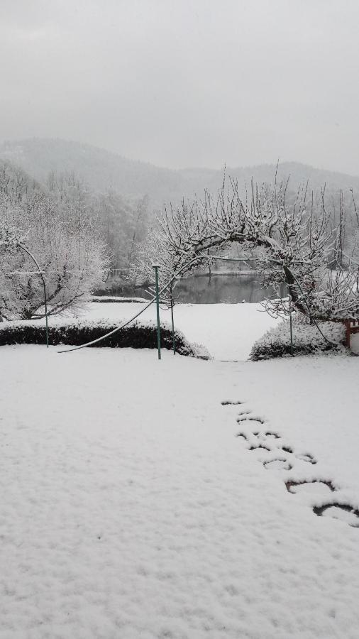 La maison et l'étang - grand terrain privé Vagney Esterno foto