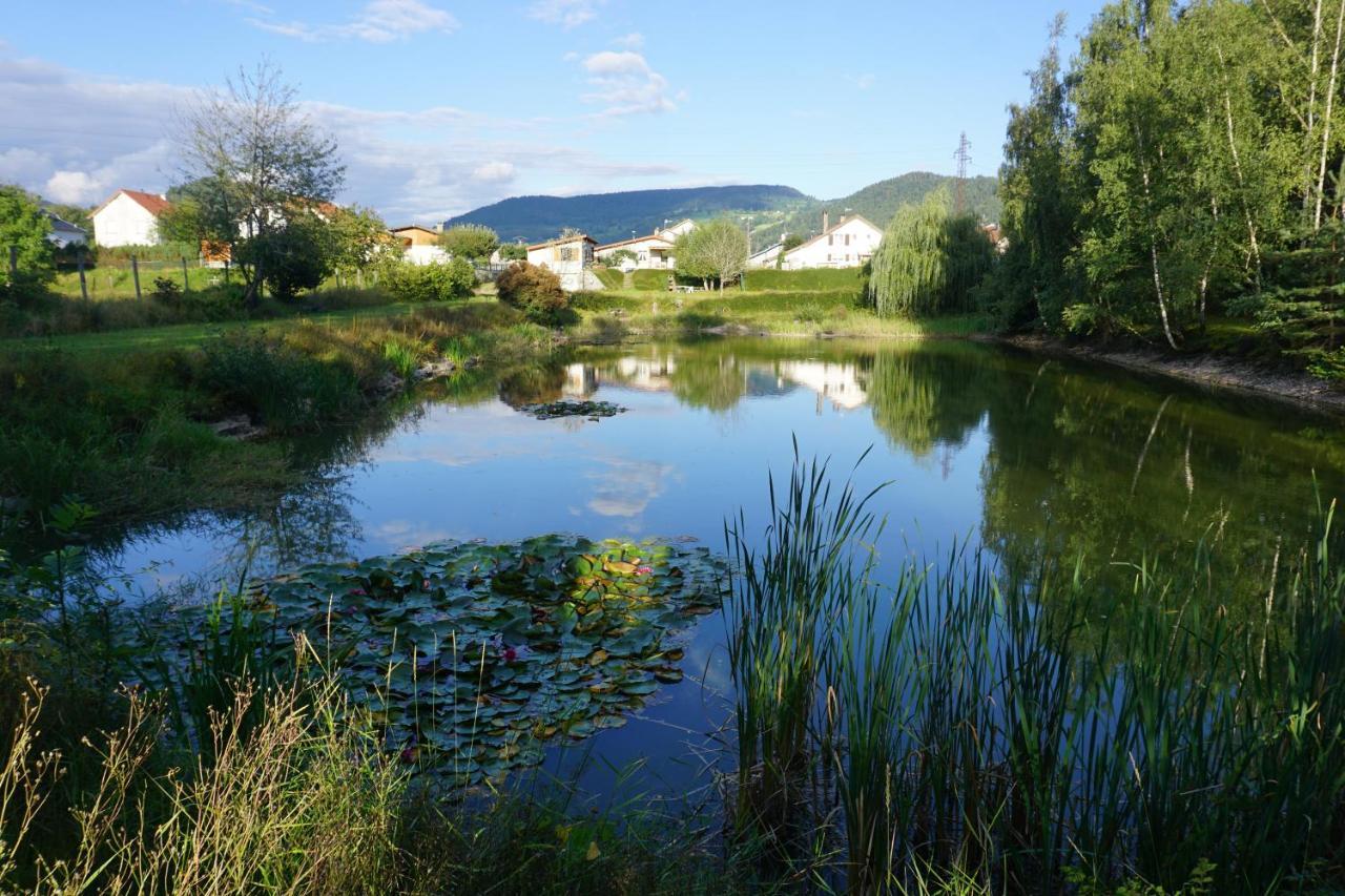 La maison et l'étang - grand terrain privé Vagney Esterno foto