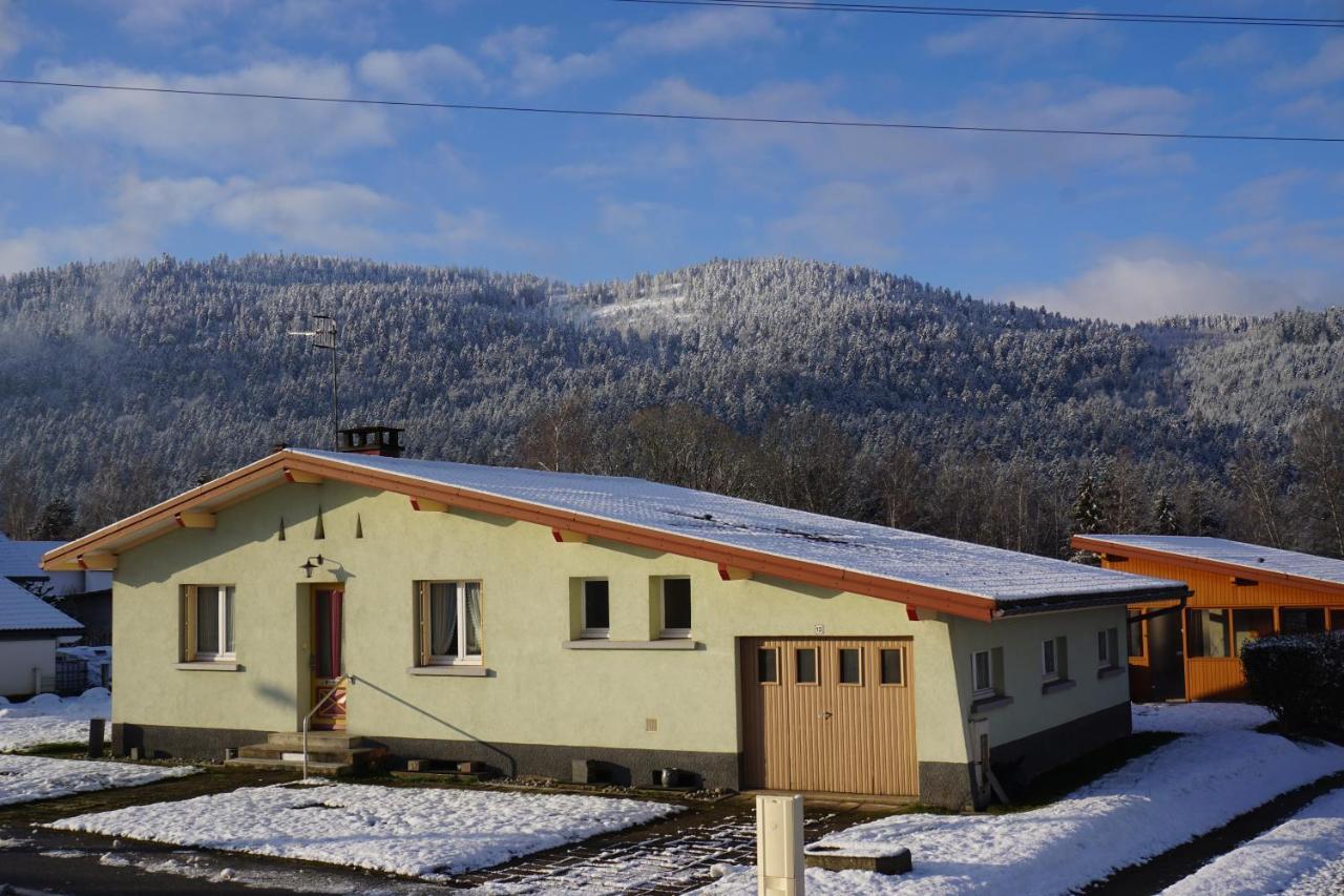 La maison et l'étang - grand terrain privé Vagney Esterno foto